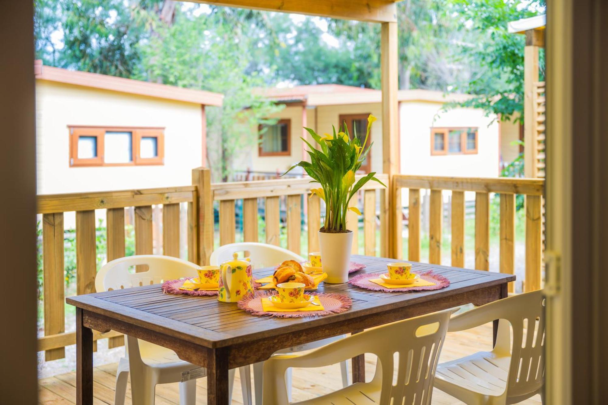Camping Le Palme มารินา ดิ บิบโบนา ภายนอก รูปภาพ